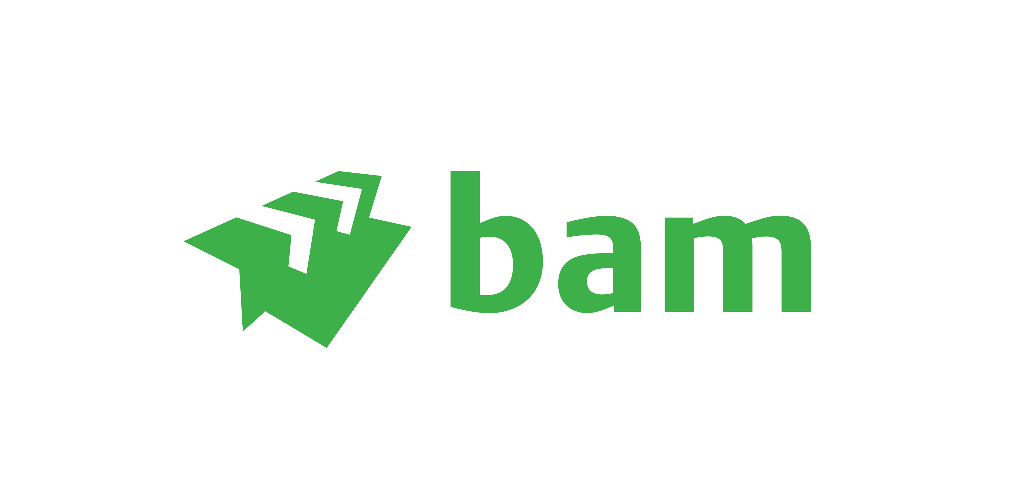 BAM logo